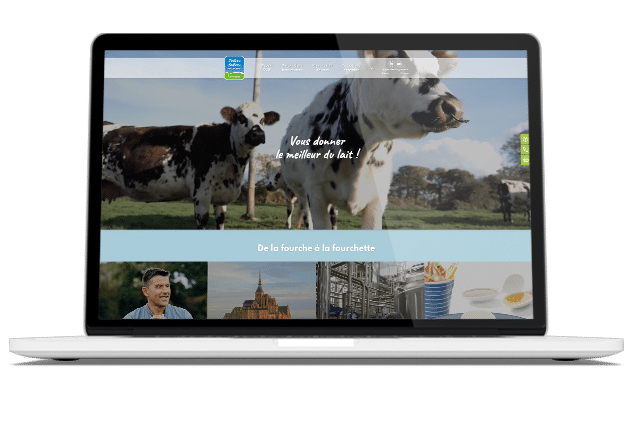 Mockup Les Maîtres Laitiers du Cotentin