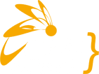 Logo CINS baseline 1 - Blanc et orange