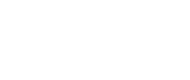 Logo DPO blanc