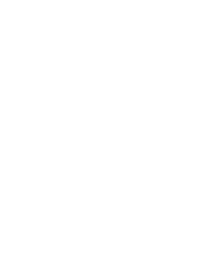 Logo OGC Nice Blanc