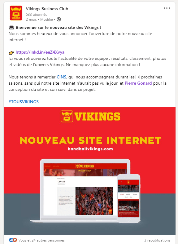 Avis Vikings réalisation site CINS