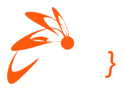 Logo CINS